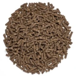 Quitt -Riding Outfit 11703 Pile