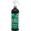 Sore No-More® Classic Liniment