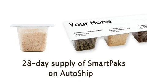 Fine Grain Himalayan Salt Granules 4 Fine Grain Himalayan Salt Granules - Image 4