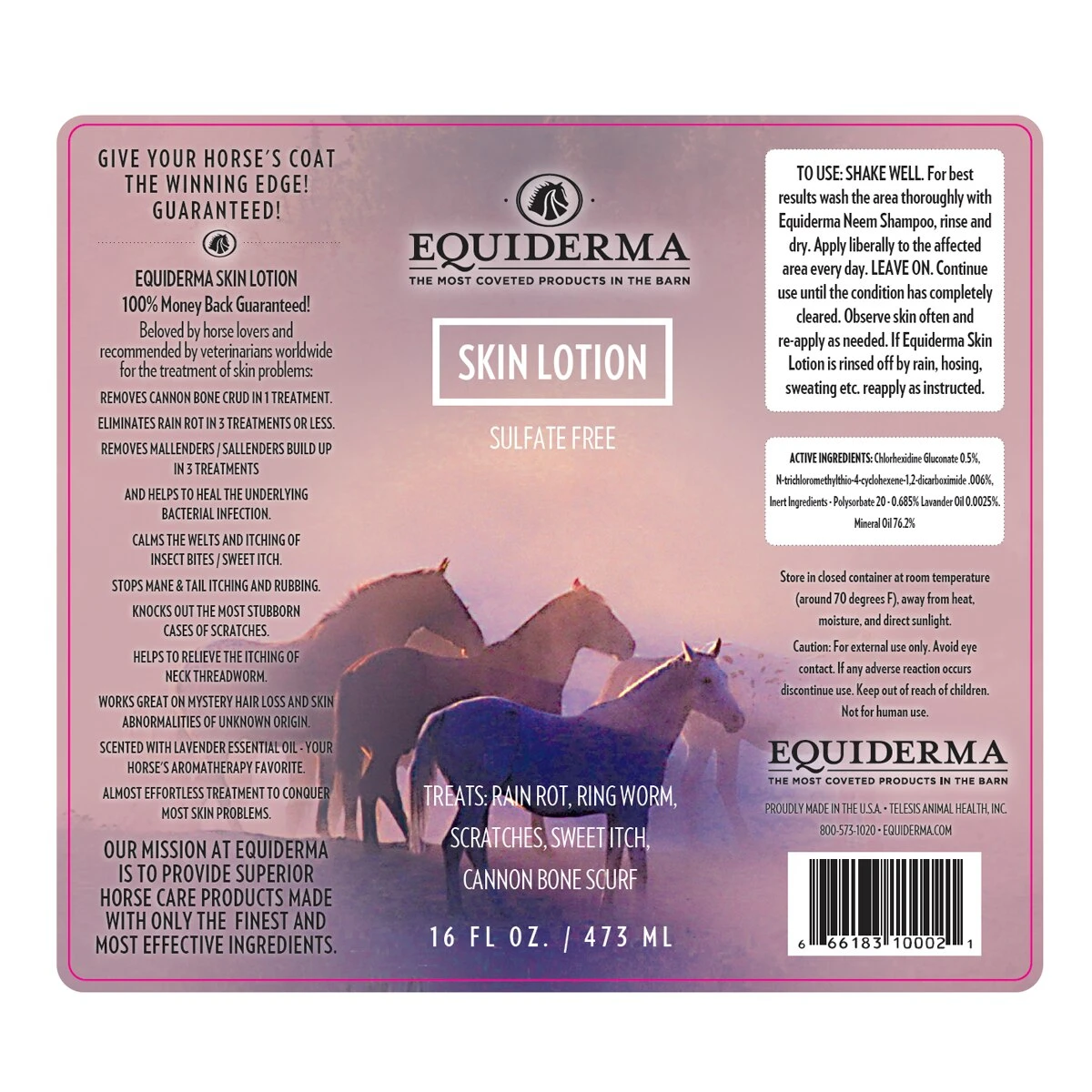 Equiderma Skin Lotion 2 Equiderma Skin Lotion - Image 2