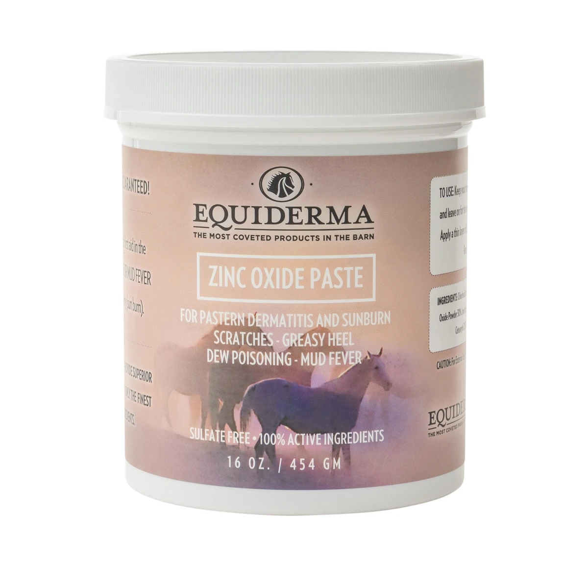 Equiderma Zinc Paste 1 Equiderma Zinc Paste