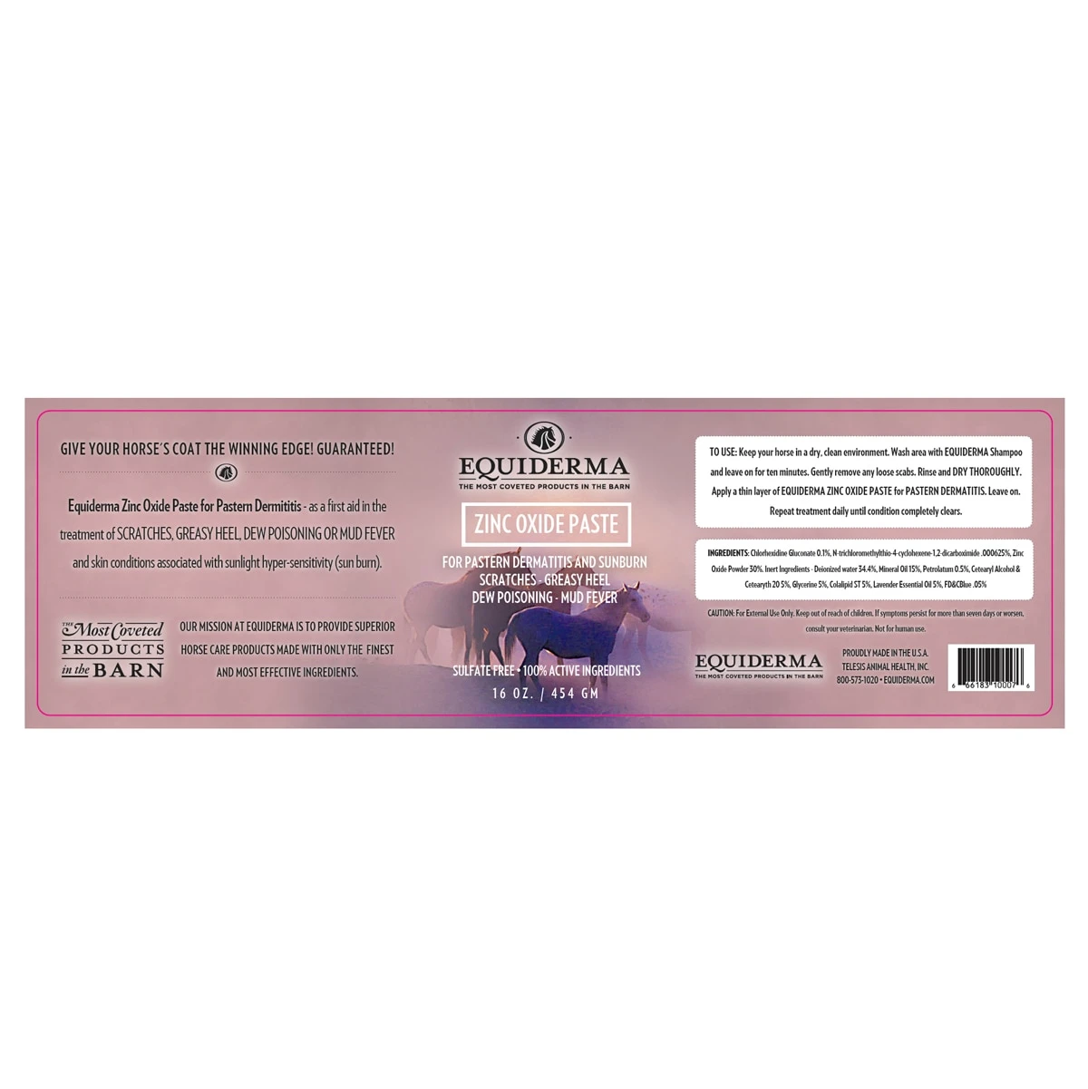 Equiderma Zinc Paste 2 Equiderma Zinc Paste - Image 2