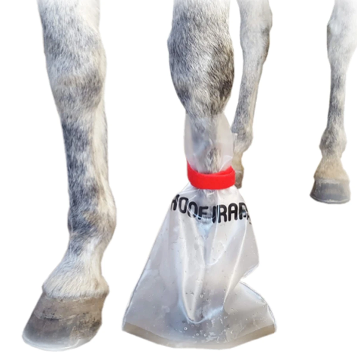 Abscess Relief Kit 3 Abscess Relief Kit - Image 3