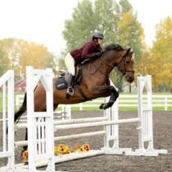 Kerrits Arena Training Knee Patch Breech 7 Kerrits Arena Training Knee Patch Breech -Riding Outfit 35587 tan 2