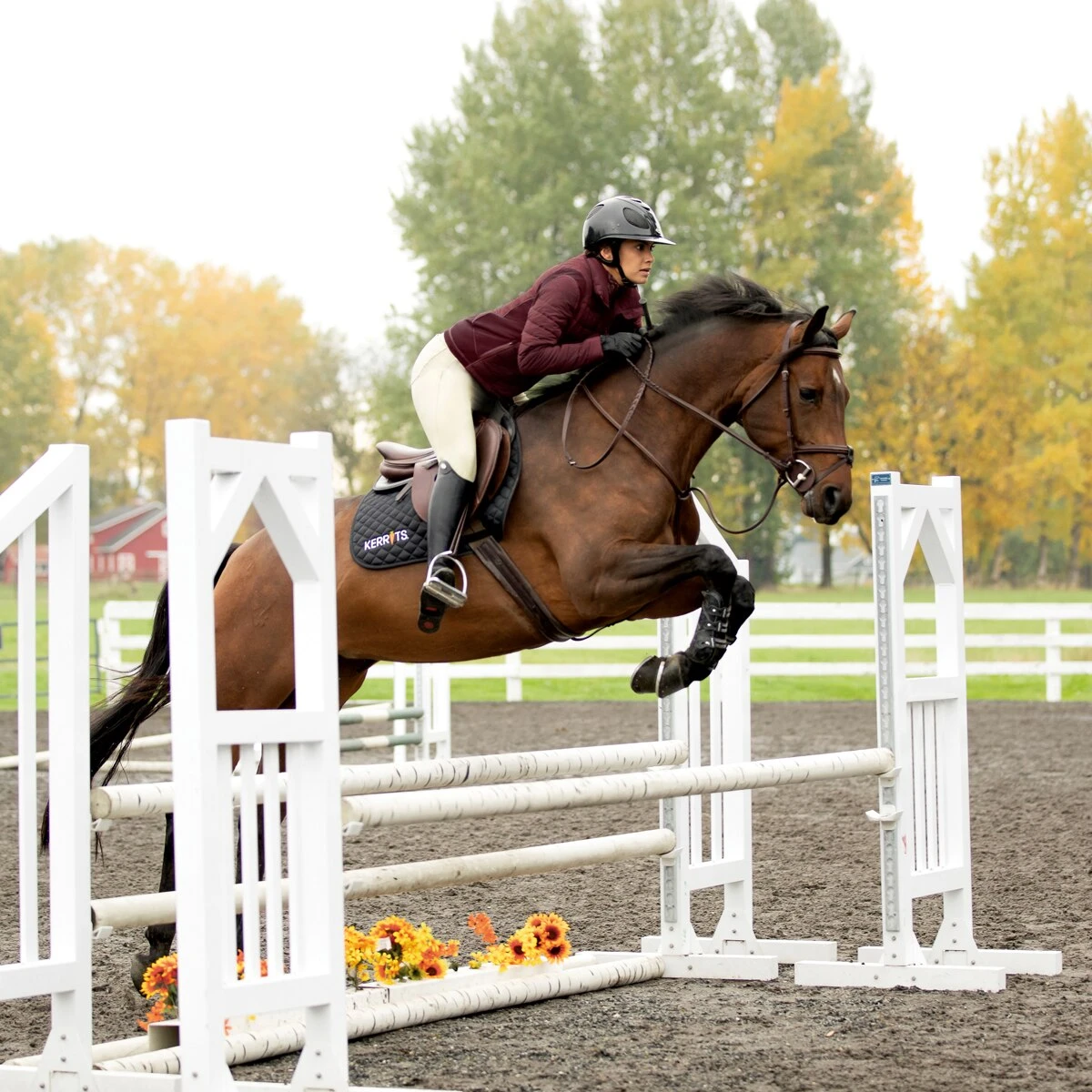 Kerrits Arena Training Knee Patch Breech 4 Kerrits Arena Training Knee Patch Breech - Image 4