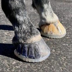 EasyShoe Versa Grip Octo Glue On Shoe -Riding Outfit 36002 4