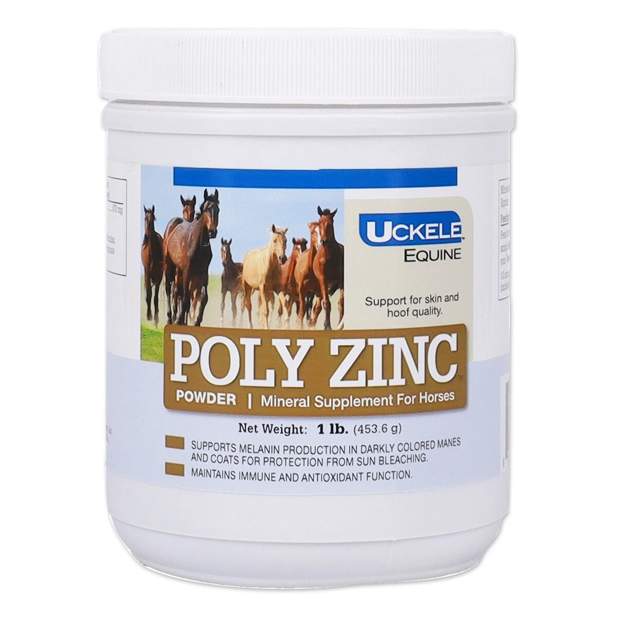 Poly Zinc™ Powder 4 Poly Zinc™ Powder - Image 4