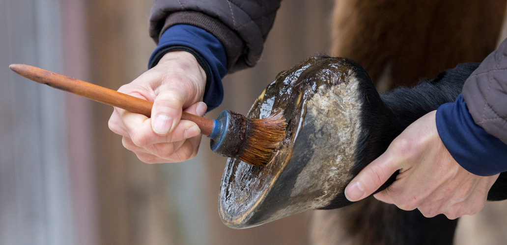 Riding Outfit 40 Riding Outfit -Riding Outfit shutterstock 796424992 1032x500 1